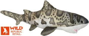 mini lepard shark