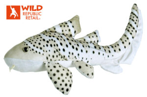 zebra shark