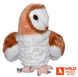 barn owl