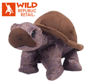 tortoise 23cm